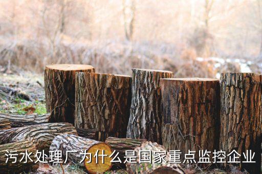 重點(diǎn)監(jiān)控企業(yè)為什么，稅務(wù)局來(lái)電要我們公處理重點(diǎn)監(jiān)控是什么意思