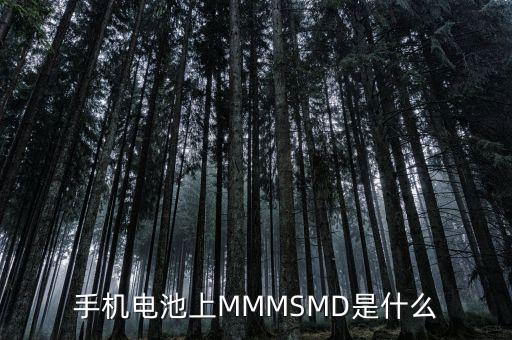 什么是電力儲能，手機(jī)電池上MMMSMD是什么