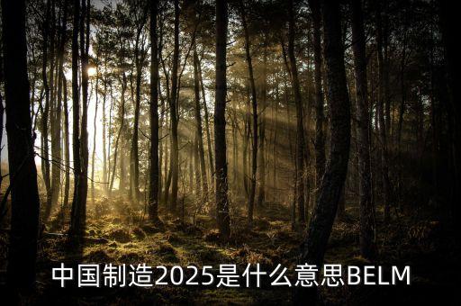 2025規(guī)劃是什么，中國制造2025是什么意思BELM