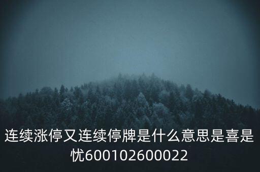 600139連續(xù)停牌是什么意思，股票連續(xù)停牌是什么意思