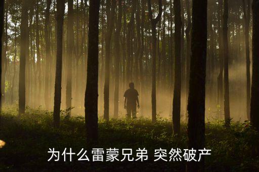 雷曼兄弟為什么破產(chǎn)，雷曼兄弟是因?yàn)槭裁炊飘a(chǎn)的