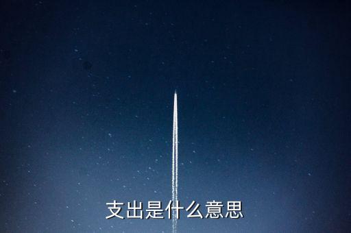 什么是下甩支出，請問會計里面的甩帳是什么意思