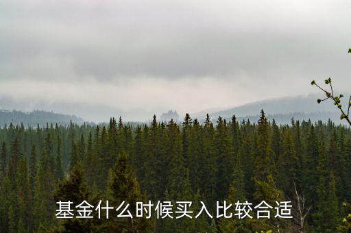 基金在什么時(shí)候買入，買入基金的最佳時(shí)機(jī)