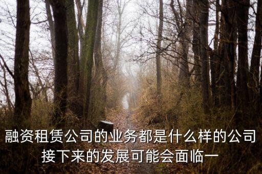 太平石化金融租賃公司是做什么的，有誰知道融資租賃公司主要是做什么的嗎