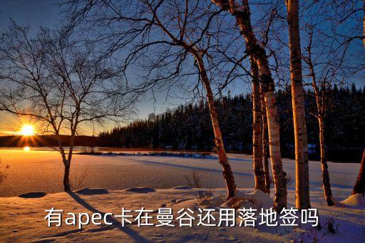 apec為什么有俄羅斯，亞太經(jīng)合組織怎么樣為什么中國1991年才加入怕俄羅斯聯(lián)邦嗎