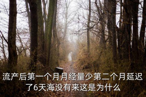 流產(chǎn)后第一個(gè)月月經(jīng)量少第二個(gè)月延遲了6天海沒有來(lái)這是為什么
