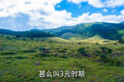 3元油價時代是什么時候，甚么叫3元時期