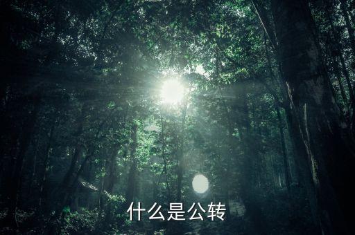 公轉(zhuǎn)書(shū)是什么，什么是公轉(zhuǎn)