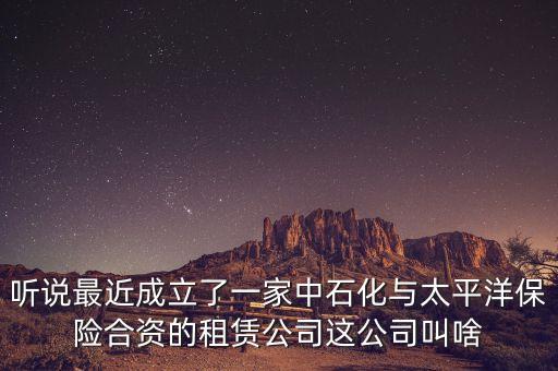 聽說(shuō)最近成立了一家中石化與太平洋保險(xiǎn)合資的租賃公司這公司叫啥