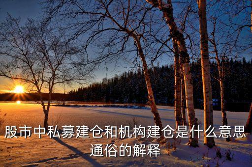 什么是中國kkr，KKRTrade交易所真的假的能不能提現(xiàn)