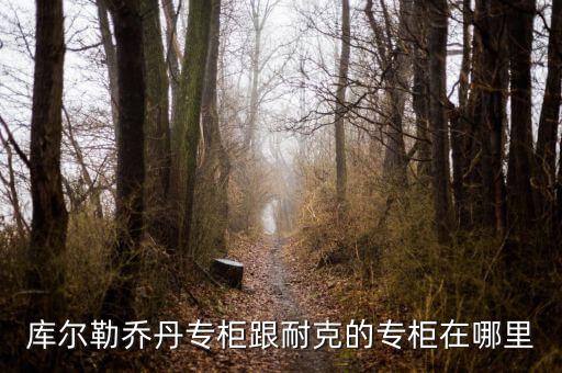 庫爾勒匯嘉有什么品牌，庫爾勒的匯嘉有沒有ZA化妝品專柜
