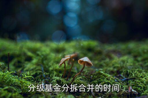 基金什么時候拆分，基金一般在什么時候拆分或分紅