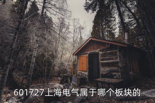 上海電氣什么行業(yè)，上海置信電氣股份有限公司是屬于什么行業(yè)