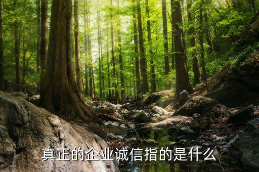 期貨公司誠信是指什么方面，公司理念中的誠信是什么意思