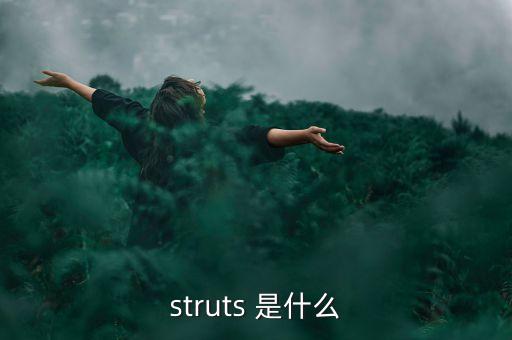 什么是中植系，struts 是什么