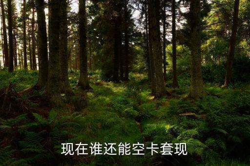 什么地方可以空卡套現(xiàn)，誰(shuí)知道煙臺(tái)地區(qū)有辦理空卡套現(xiàn)的么