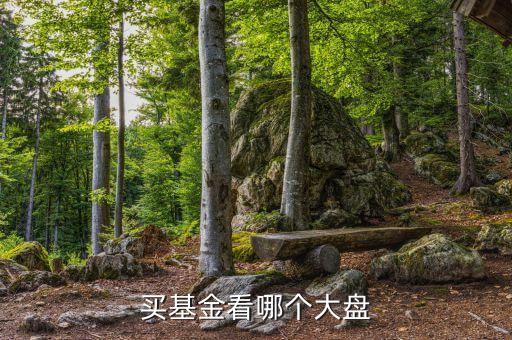 基金看什么大盤走勢，買基金看哪個(gè)大盤