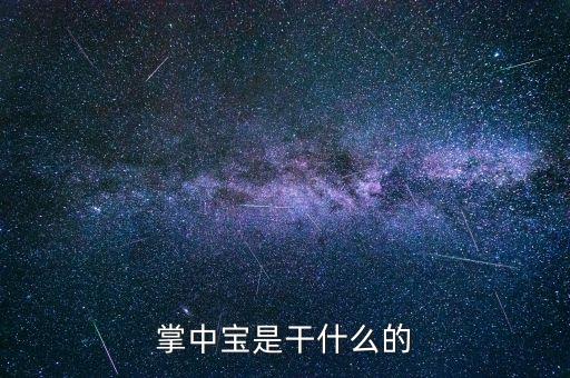 保險掌中寶是什么，掌中寶是干什么的