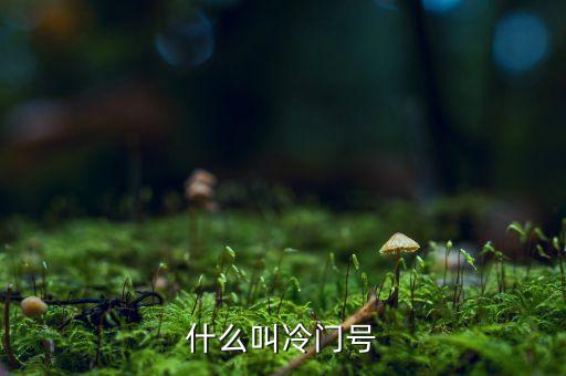 什么叫冷門股，楊子一老公叫什么名子