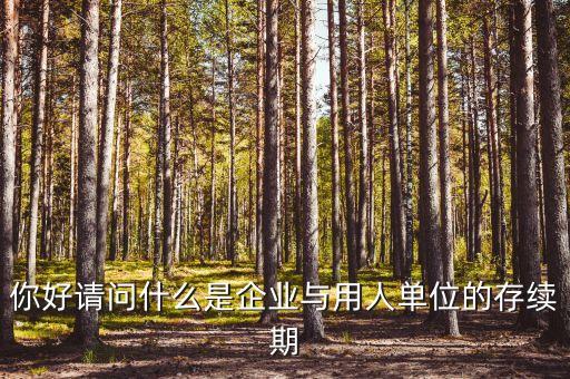 什么叫存續(xù)合同，法律上所謂的續(xù)存是什么意思