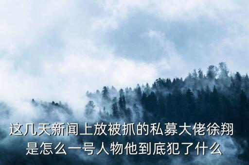 徐翔為什么會抓，澤熙投資徐翔為什么被抓徐翔被抓后私募怎么辦