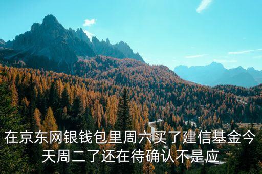 002378建信什么時(shí)候確認(rèn)份額，在京東網(wǎng)銀錢(qián)包里周六買(mǎi)了建信基金今天周二了還在待確認(rèn)不是應(yīng)