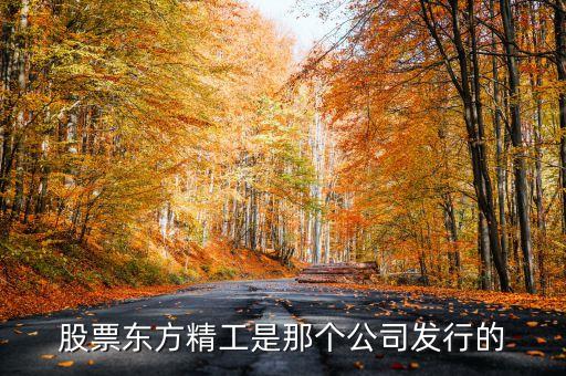 北京東方良品科技成立于什么時(shí)間，東方收藏哪年成立的
