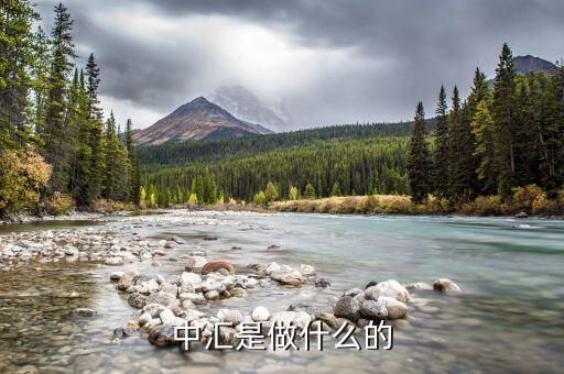 中匯事業(yè)發(fā)展部是什么，中匯集團(tuán) 好像全國(guó)好多叫中匯的不是說(shuō)集團(tuán)公司名稱(chēng)不能重復(fù)嗎