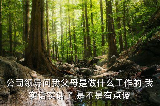 公司問父母是做什么的，公司領(lǐng)導(dǎo)問我父母是做什么工作的 我實話實話了 是不是有點傻
