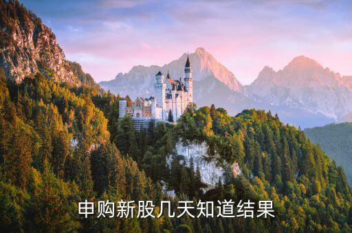 博敏申購什么時(shí)候出結(jié)果，申購新股幾天知道結(jié)果