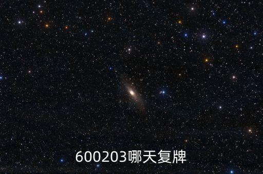 長百集團什么時候復牌，000560各位大神知道啥時候復牌