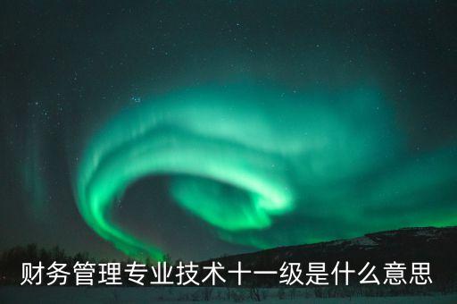 財(cái)務(wù)管理專(zhuān)業(yè)技術(shù)十一級(jí)是什么意思