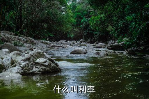 什么叫做利率，什么叫做利率