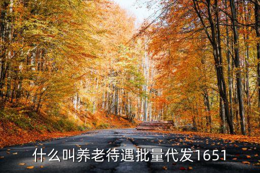 什么叫代發(fā)養(yǎng)老金，養(yǎng)老金代發(fā)機構是指什么