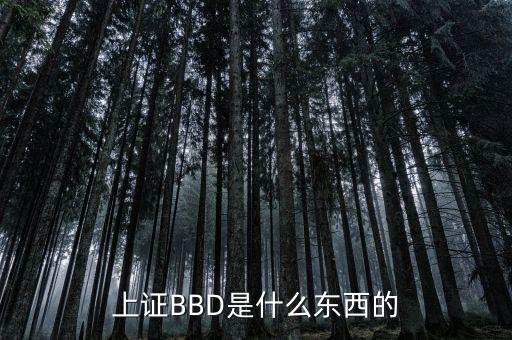 bbd凈差是什么意思，上證BBD是什么東西的