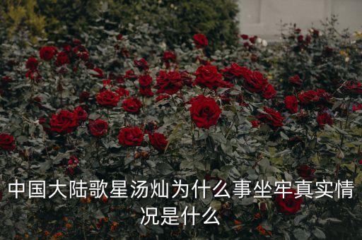 湯燦為什么要當(dāng)情婦，誰知道湯燦怎么了