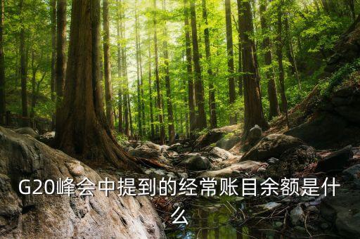 什么是經(jīng)常項目余額，經(jīng)常項目差額的什么是經(jīng)常項目差額