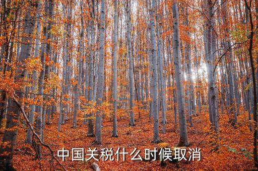中國什么時候取消關(guān)稅，中國應(yīng)該在哪年取消關(guān)稅