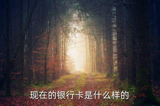 首都銀行卡長(zhǎng)什么樣，銀行卡賬號(hào)長(zhǎng)什么樣
