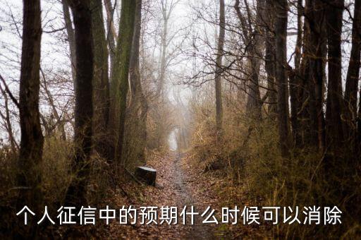 中國正信什么時候分紅，個人征信中的預(yù)期什么時候可以消除
