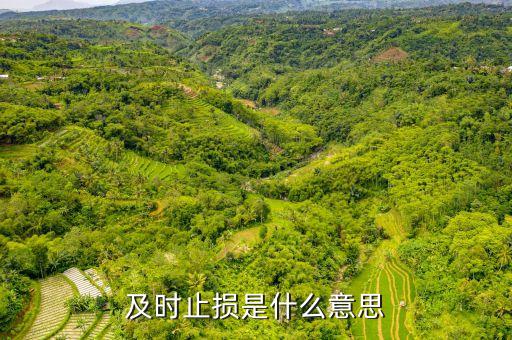 適時(shí)止損是什么意思，勿糾結(jié)于沉沒成本 即時(shí)止損什么意思