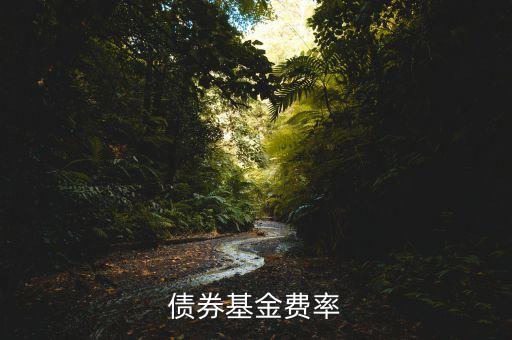 債券基金費率什么意思，債券基金費率