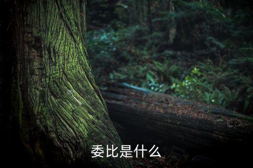 什么是委比指標(biāo)，股票里面的委比是什么意思