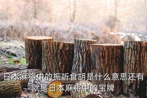 匯盈貸是什么，日本麻將中的振聽食胡是什么意思還有就是日本麻將中的寶牌