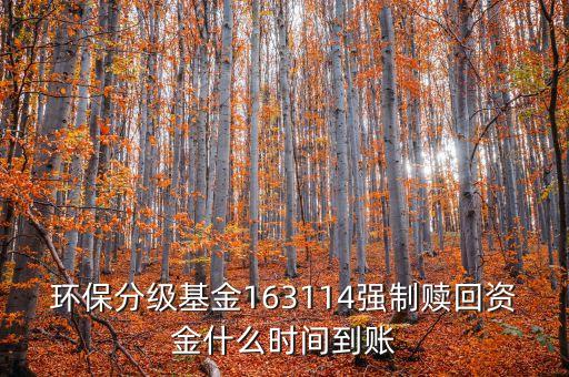 163114什么時(shí)候開盤，163114是個(gè)什么玩意啊賣也賣不出