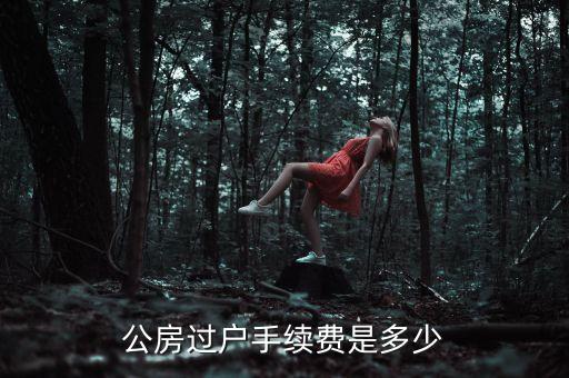 公房使用權(quán)轉(zhuǎn)讓需要交什么錢，公租房使用權(quán)交易如何收費(fèi)