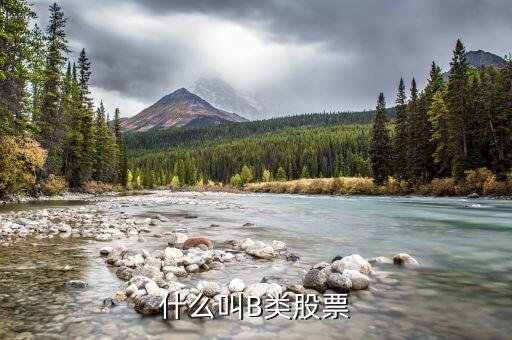 分級股b什么意思，分級基金b和b股一樣嗎