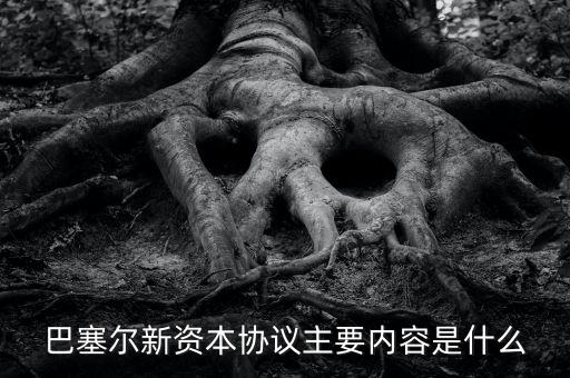 新資本協(xié)議是什么，新巴塞爾資本協(xié)議的介紹