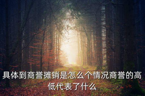 具體到商譽(yù)攤銷是怎么個情況商譽(yù)的高低代表了什么