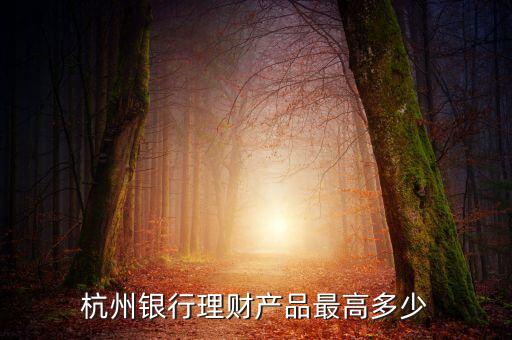 豐裕1號有什么風險，杭州銀行理財產(chǎn)品豐裕一號風險等級怎么